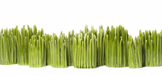 Normann Copenhagen Vase Grass Detail 5 