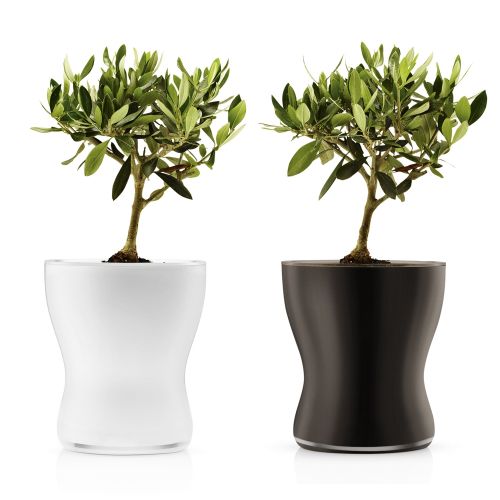 eva solo Blumentopf aus Glas